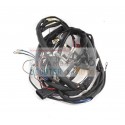 Central Wiring Original Malaguti Ciak Master 50 04/03 Mono E2-23