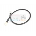 Câblage Massa Motor Starter originale Malaguti Araignée Max 500