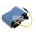 Digital control unit Vespa 50125150200 What Ape 50