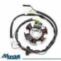 6 Stator Poles Malaguti Centro Sl 50 1994-1998