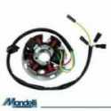 6 Stator Poles Derbi Gpr Nude Sport 50 2006