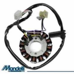 12 Poly Stator Yamaha Tzr Rr 50 2005