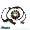 12 Poly Stator Piaggio Liberty Iget 4T 3V Ie 150 2015-2018