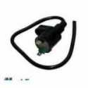 Bobina Accensione Esterna Honda Sh 125 2001-2004