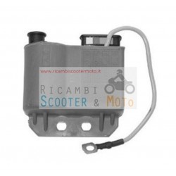 Electronic Control Ducati Betamotor Alp 125 240 250 260 90-98