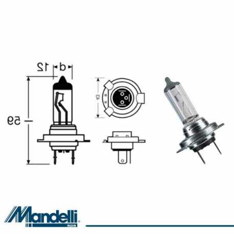 LAMPADA H7 12V 55W PX26D 1pz