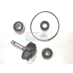 Water Pump Revision Kit Aprilia Rally Sr Area 51 Gulliver Sonic 50 Lc