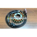 Statore supporto bobine piastra volano Aprilia Gilera Piaggio