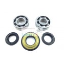 Bearing Kit / Revision Seals Crankshaft Piaggio Vespa 50 RLN