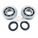 Kit bearings seals Revision Crankshaft Piaggio Aprilia 125 150 180