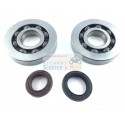 Bearing Kit / Revision Seals Crankshaft Piaggio Sfera 125