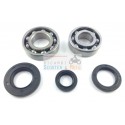 Bearing Kit / Crankshaft Seals Revision Italjet Formula 50