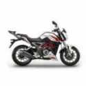 Portapacco Posteriore Benelli Bn251 250 2016