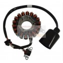 Der Stator Magnetpole Malaguti Passwort Voll 18/250 E3 2007-2009