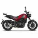 Ruck Hutablage Benelli Leoncino 500 2017-