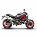 Halbstarre Hutablage Seitentaschen Ducati Monster 821 2016-2017