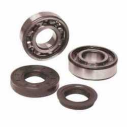 Tour Of Revision Crankshaft Bearings Honda Ses 125 Dylan 2002-2006