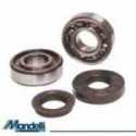 Tour Of Revision Crankshaft Bearings Honda Ses 150 Dylan 2002-2006