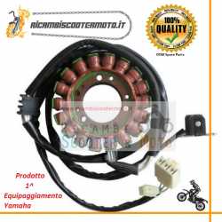 Stator Schwungrad Yamaha T Max 500 08 11 1 Ausstattung