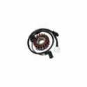 Stator Aprilia Sport City Cube 300 2008-2010 40600180 Kokusan