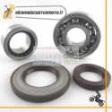 Revision Kit crankshaft Piaggio APE TM P703 P602