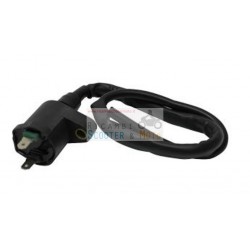 Ignition Coil External Gilera 50,125,150,180 DNA Runner Nexus