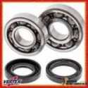 Crank Shaft Bearing Kit Yamaha Yfs 200 Blaster 1988-2006