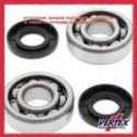 Crank Shaft Bearing Kit Gas Gas Ec 200 2T 2008-2019