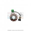 Aprilia Scarabeo estator 4T 4V neto (Tge00) 50 10/13