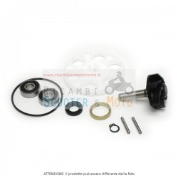 Kit Revisione Pompa Acqua C/Disco Traino Aprilia Sr Lc 50 93/01