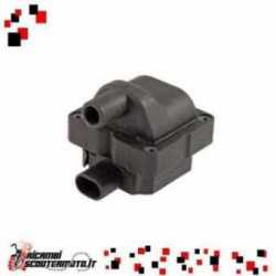 Inductive Coil Derbi Rambla E3 2Ver 250 2008/2008