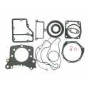 Low series gaskets rings LOMBARDINI LDW502 MICROCAR LIGIER CHATENET