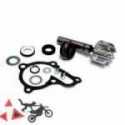 Kit De Reparacion De Bomba De Agua Kymco 125 Downtown / People Gt