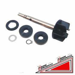 Kit reacondicionamiento bomba agua motor Rotax 125150 Aprilia Leonardo Scarabeo