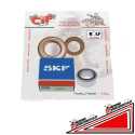 Kit Revisione Albero Motore con Paraoli Rolf Ape Tm P703-P602 Ape Car CAR P2-3