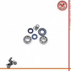 Revision Kit Crankshaft Vespa Pk 50 With Bearings And Seals