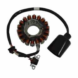 Stator Malaguti Password 250 2007 2008 2009