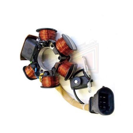 Stator Piaggio Zip complet 2T Cat (C25000) 50 00/07