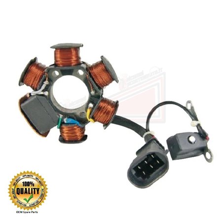 6 Polos Del Estator Piaggio Nrg Power Dt Serie Speciale 50 2007-2008