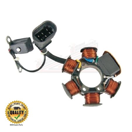 6 Polos Del Estator Piaggio Nrg Power Dt Serie Speciale 50 2007-2008