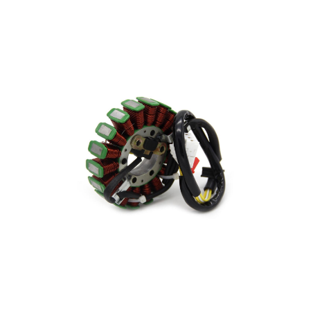 Stator Honda NSS Forza 250 2004 2008