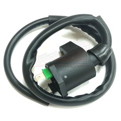 Ignition Coil External Hd Joymax Sym Joyride 125