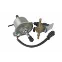 Pompe diesel électrique AC Lombardini LDW502 Ligier Microcar Chatenet Grecav