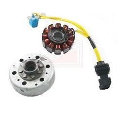 Stator Rotor Flywheel Complete Piaggio Beverly 125 2001-2009