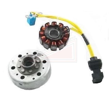 Stator rotor volant moteur Piaggio MP3 125 complète 2007-2008