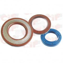 Oil Seal Set engine Viton Piaggio Ape MP 501 1982 1996