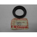 Dust Fork Front Kawasaki