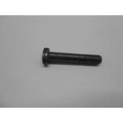 Pivot Bolt Biella Original Kawasaki