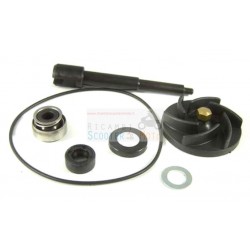 Kit revision bomba de agua Piaggio Beverly 500 de 2002 a 2004