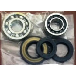 Kit Cuscinetti Paraoli Revisione Albero Motore Ape Mp